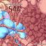Hot S4A- Metroid hentai Sex Pussy