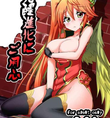 Hoe 覚醒進化にご用心- Puzzle and dragons hentai Friends