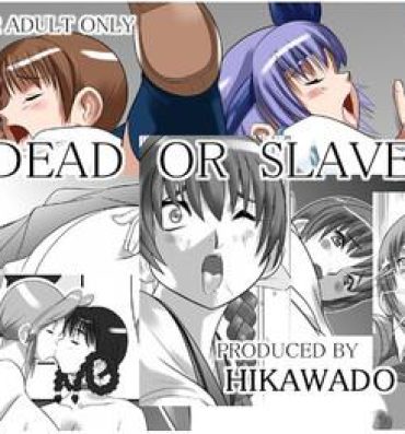 Street Dead or Slave- Dead or alive hentai Teenporn