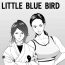 Tites Little Blue Bird Prostitute